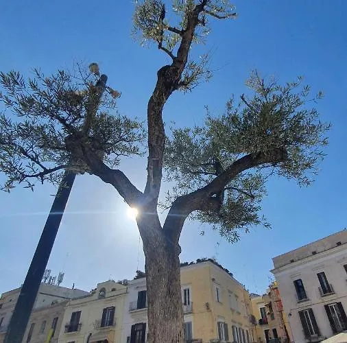 Appartamento Dimora Donna Vittoria - Vecchia *